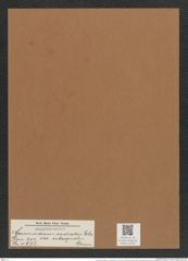 Coscinodiscus radiatus var. subaqualis Grun. (de-Toni-Nr.: Genus 202, Species 4972) Zeichnungen Sammlung Grunow Mappe 04793 (Herbarium_W_Grunow_drawings_Folder_04793)